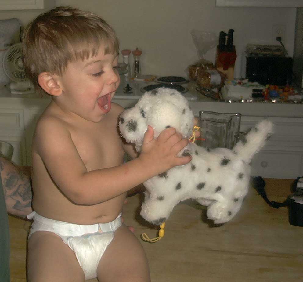 birthdaydog_cropped.jpg
